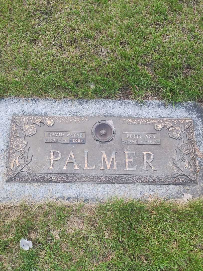 Douglas Alexander Palmer's grave. Photo 4