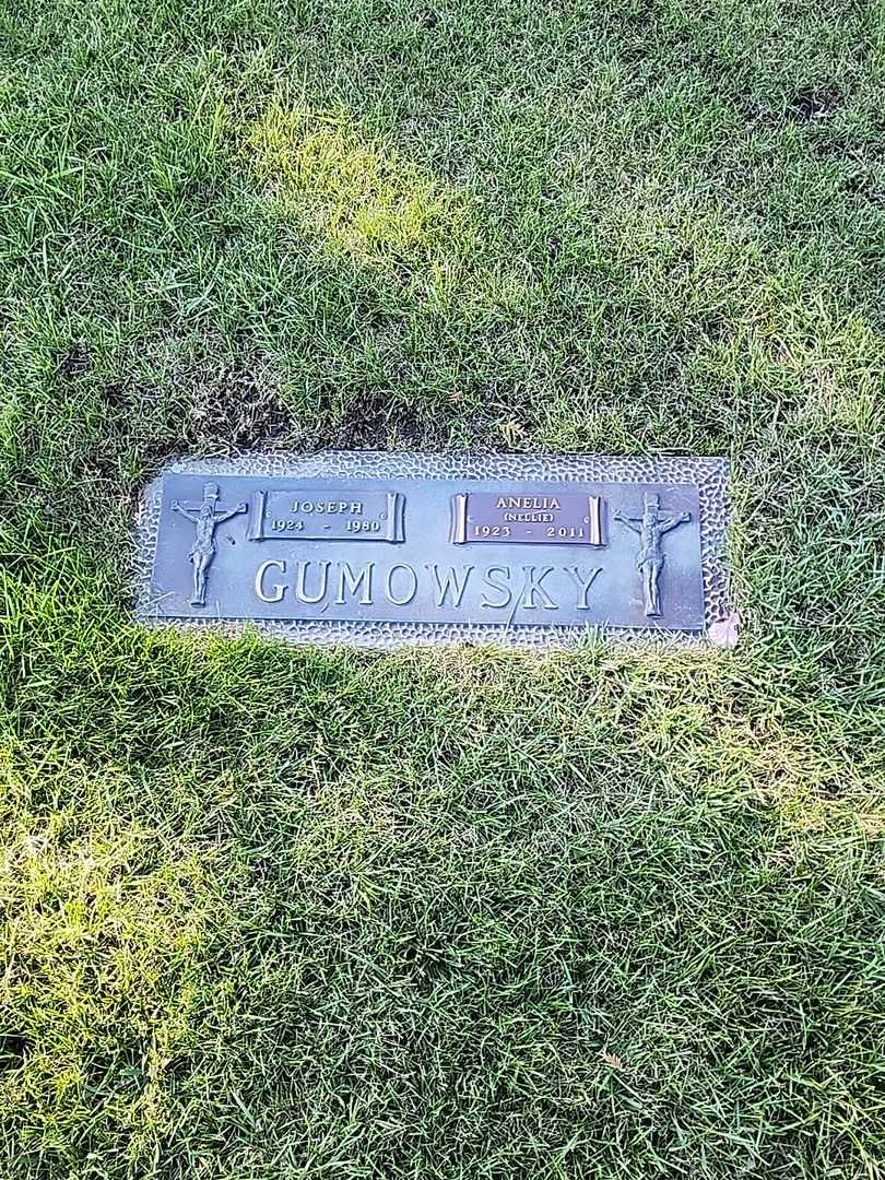 Anelia "Nellie" Jakymeczko Gumowsky's grave. Photo 1