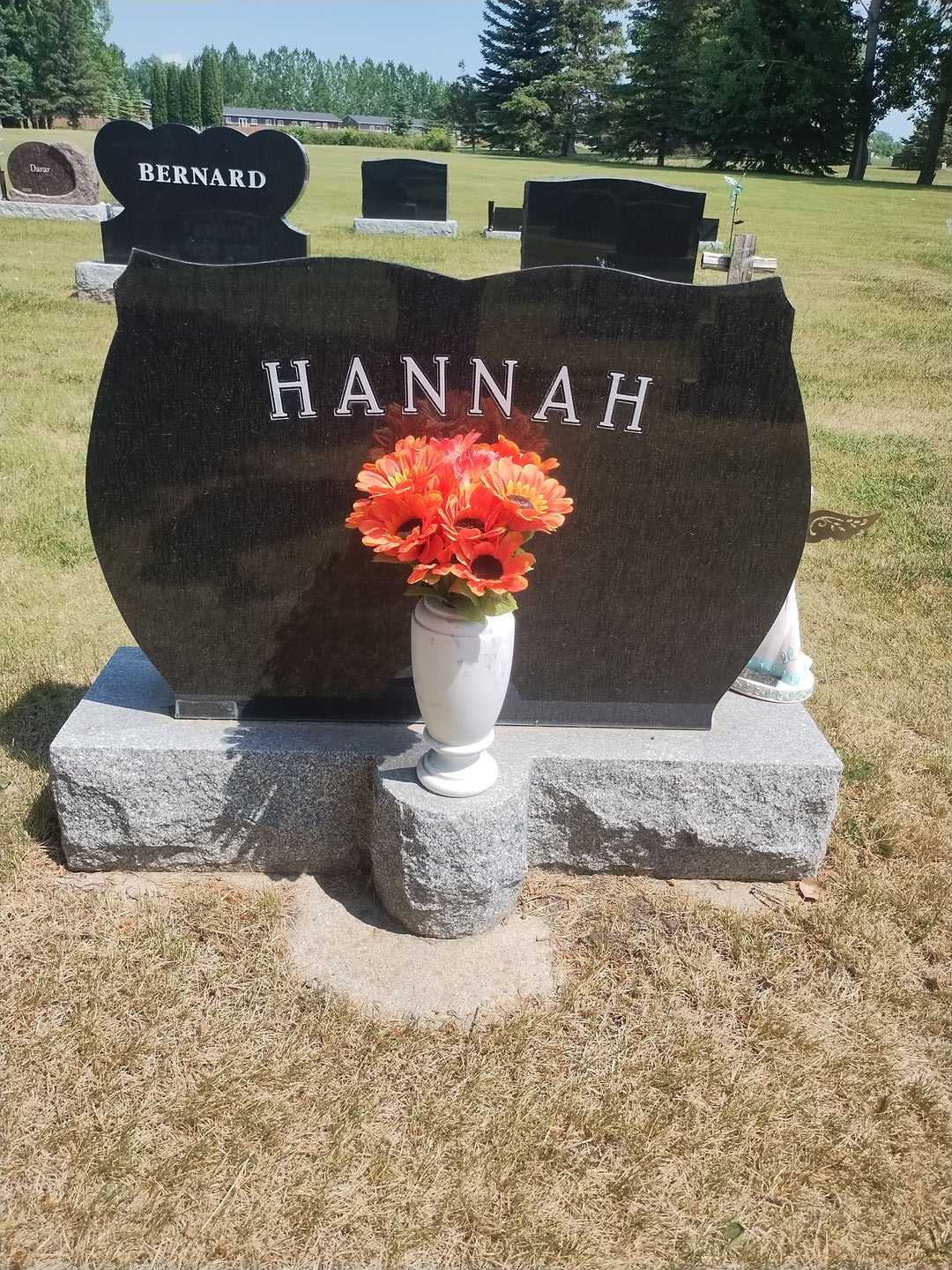 Allen G. Hannah's grave. Photo 2