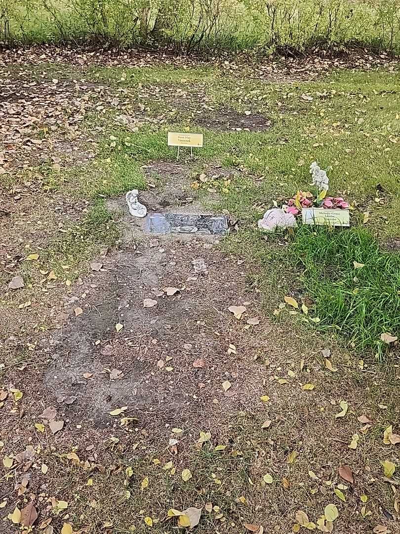 Aaron Lucas Jackson Tarr's grave. Photo 2