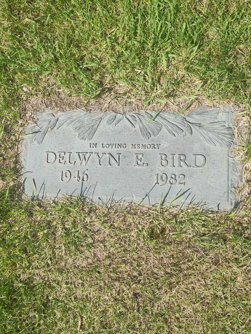 Russell G. Adams's grave. Photo 4
