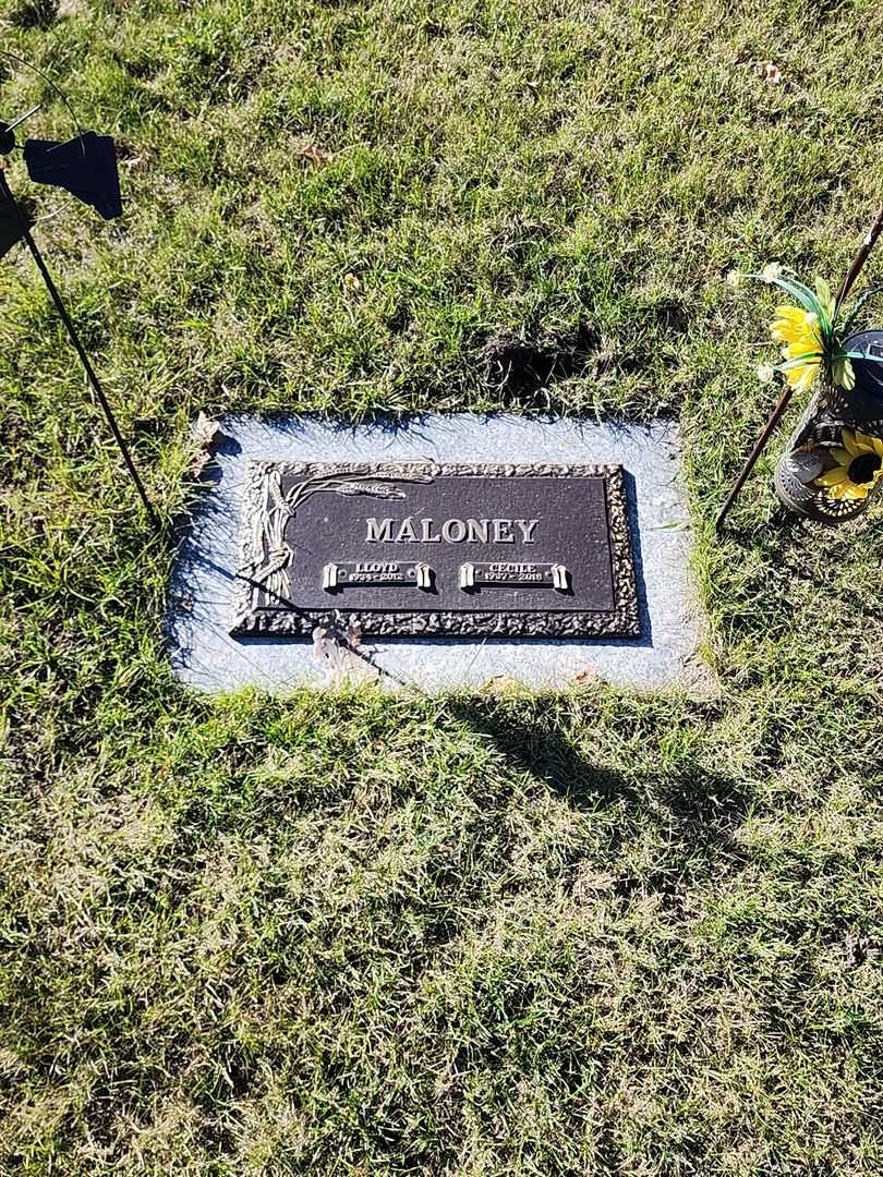 Cecile Maloney's grave. Photo 1