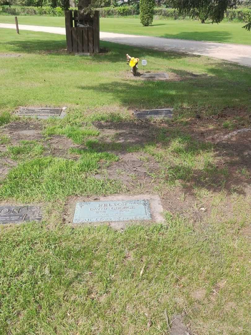 David George Nelson's grave. Photo 2