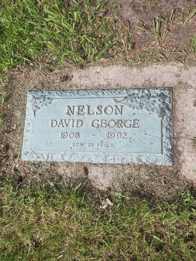 David George Nelson's grave. Photo 1