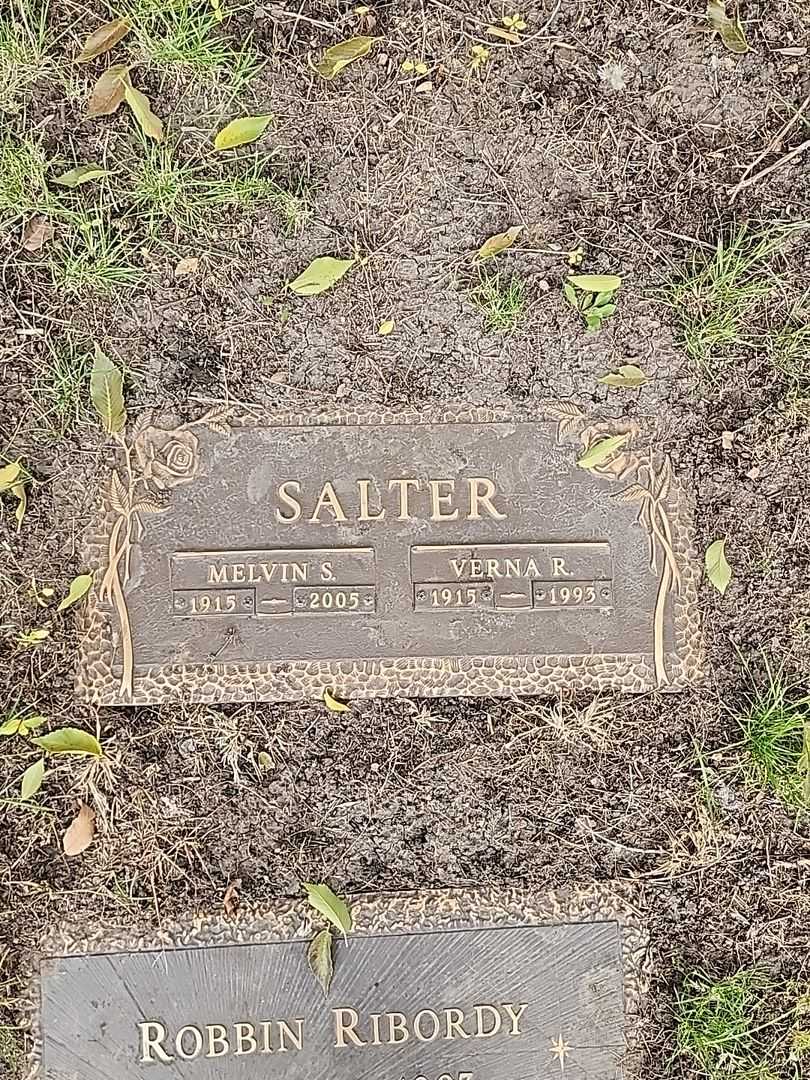 Melvin S. Salter's grave. Photo 1