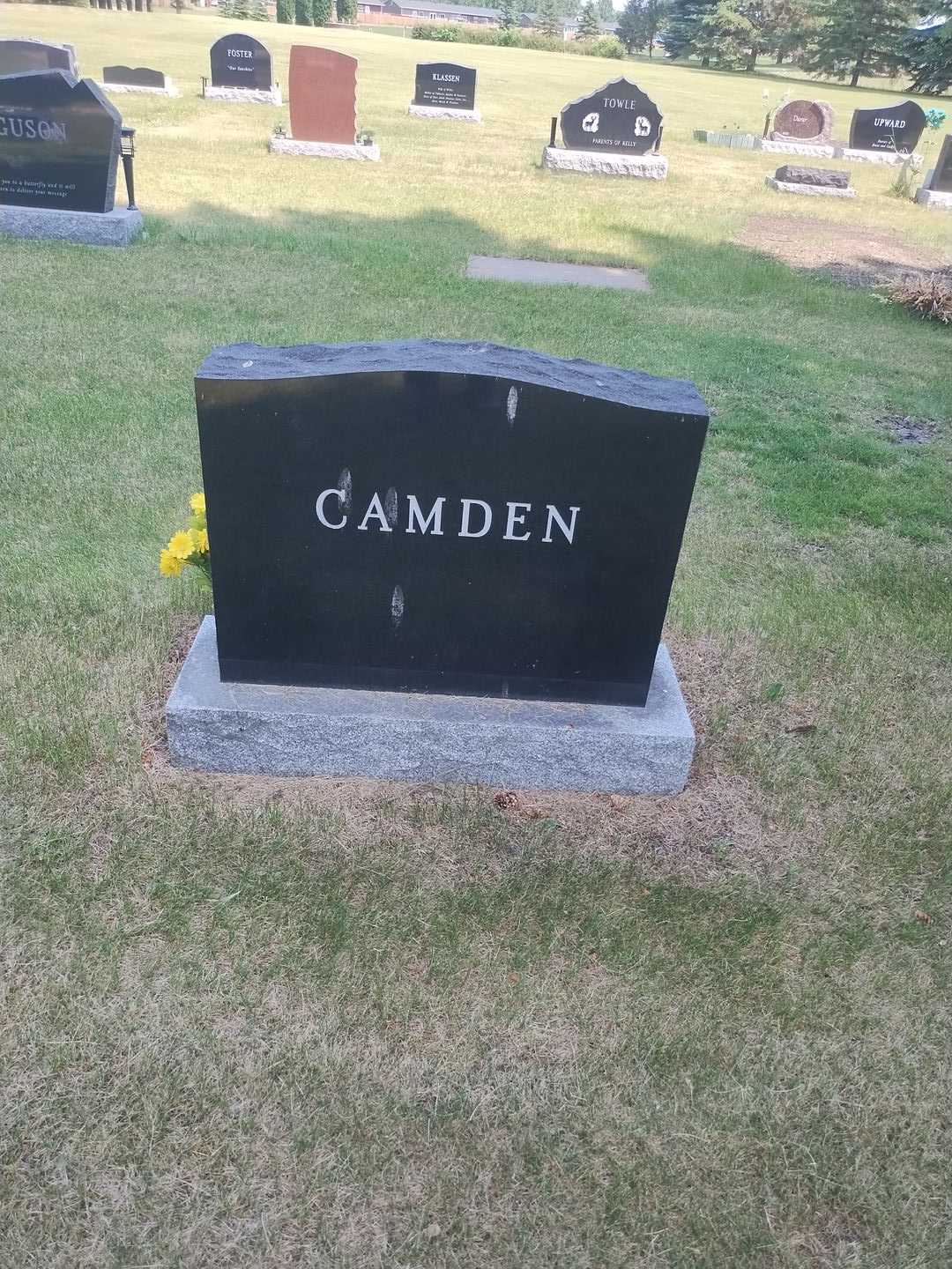 Patricia Ann Camden's grave. Photo 2