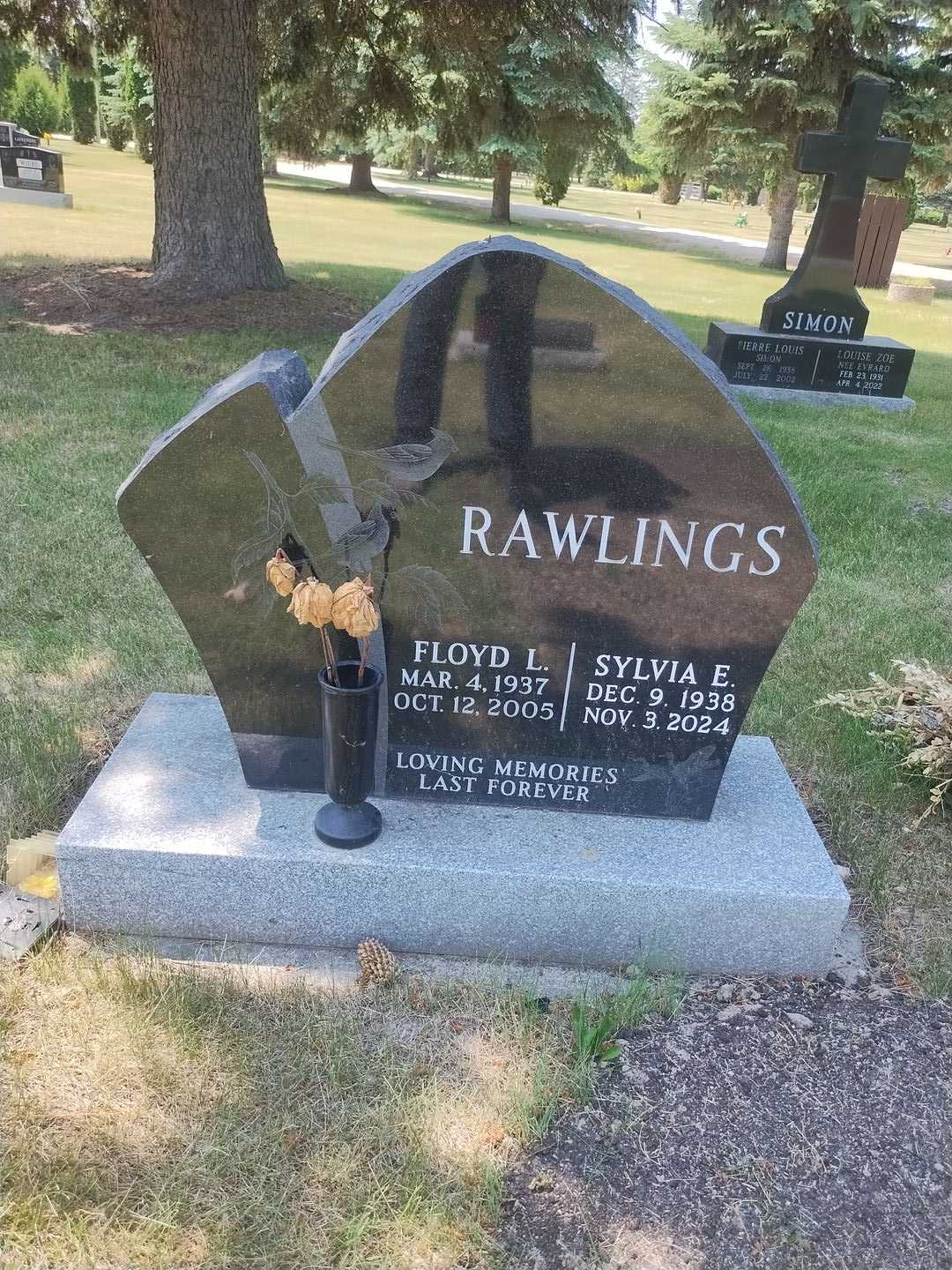 Floyd L. Rawlings's grave. Photo 1
