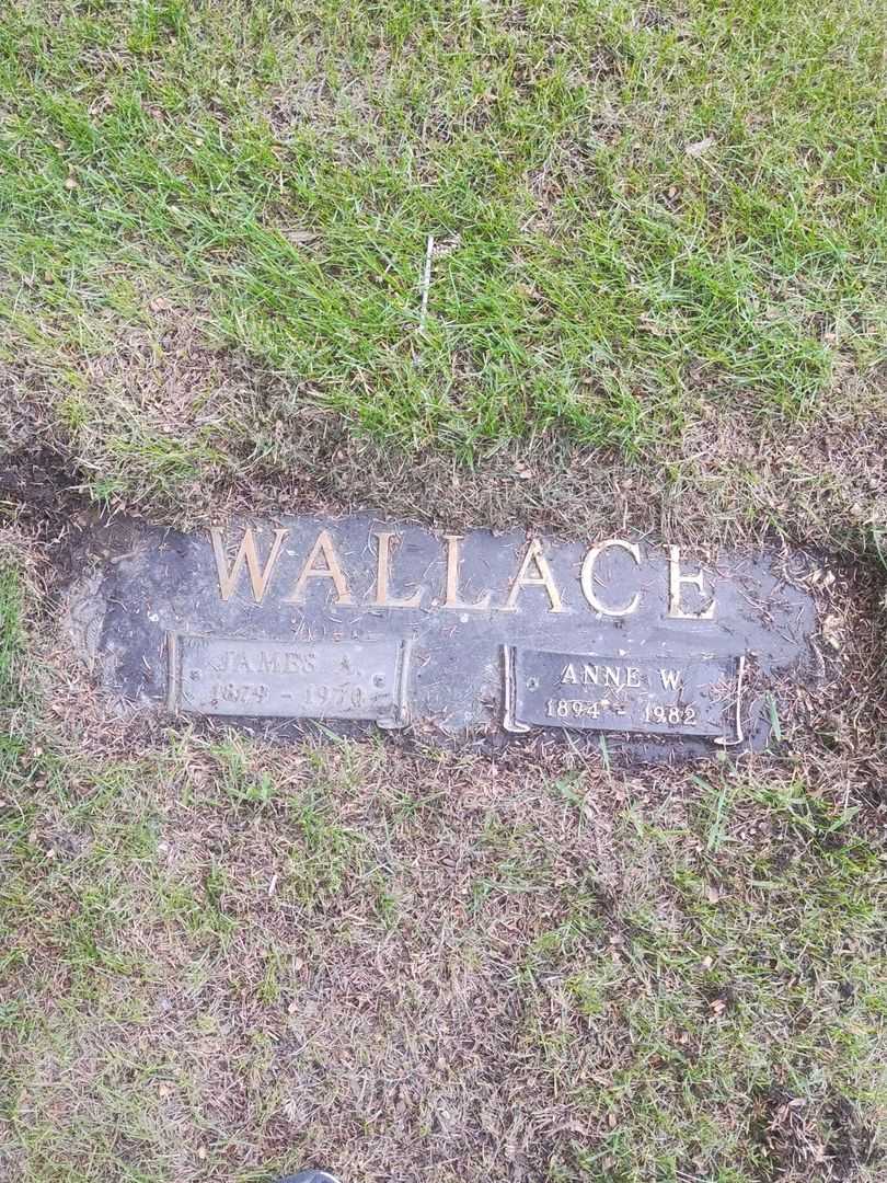 James A. Wallace's grave. Photo 1
