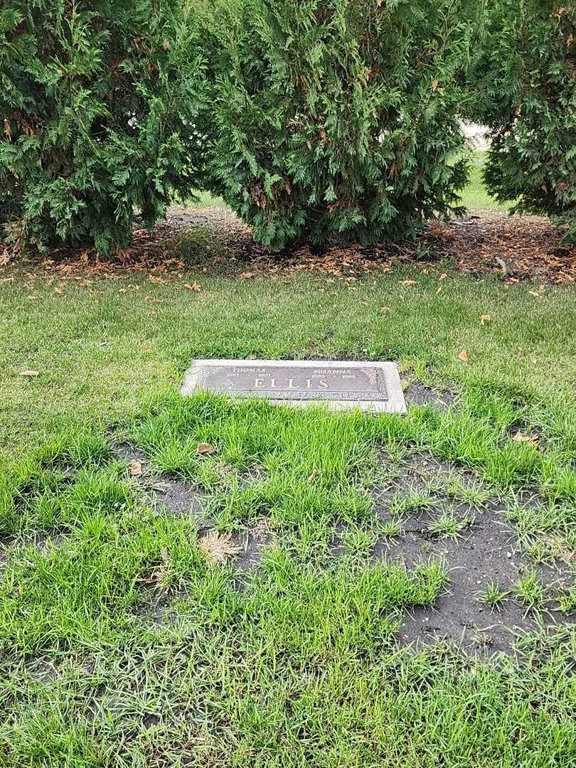 Thomas Ellis's grave. Photo 2