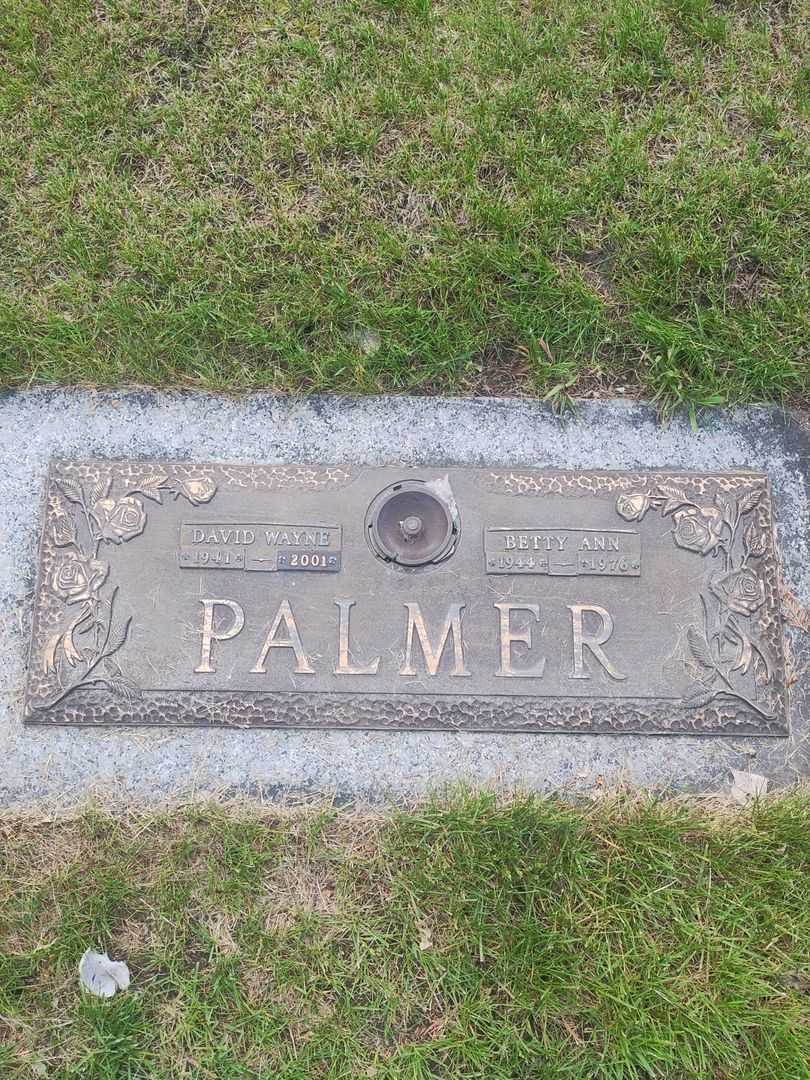 Douglas Alexander Palmer's grave. Photo 5