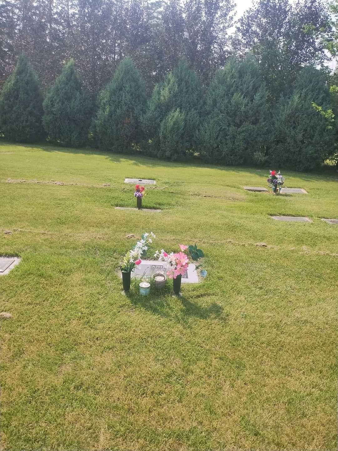 Andre "Andy" Landry's grave. Photo 4