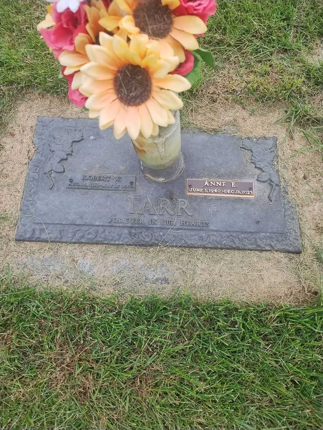 Robert W. Tarr's grave. Photo 3