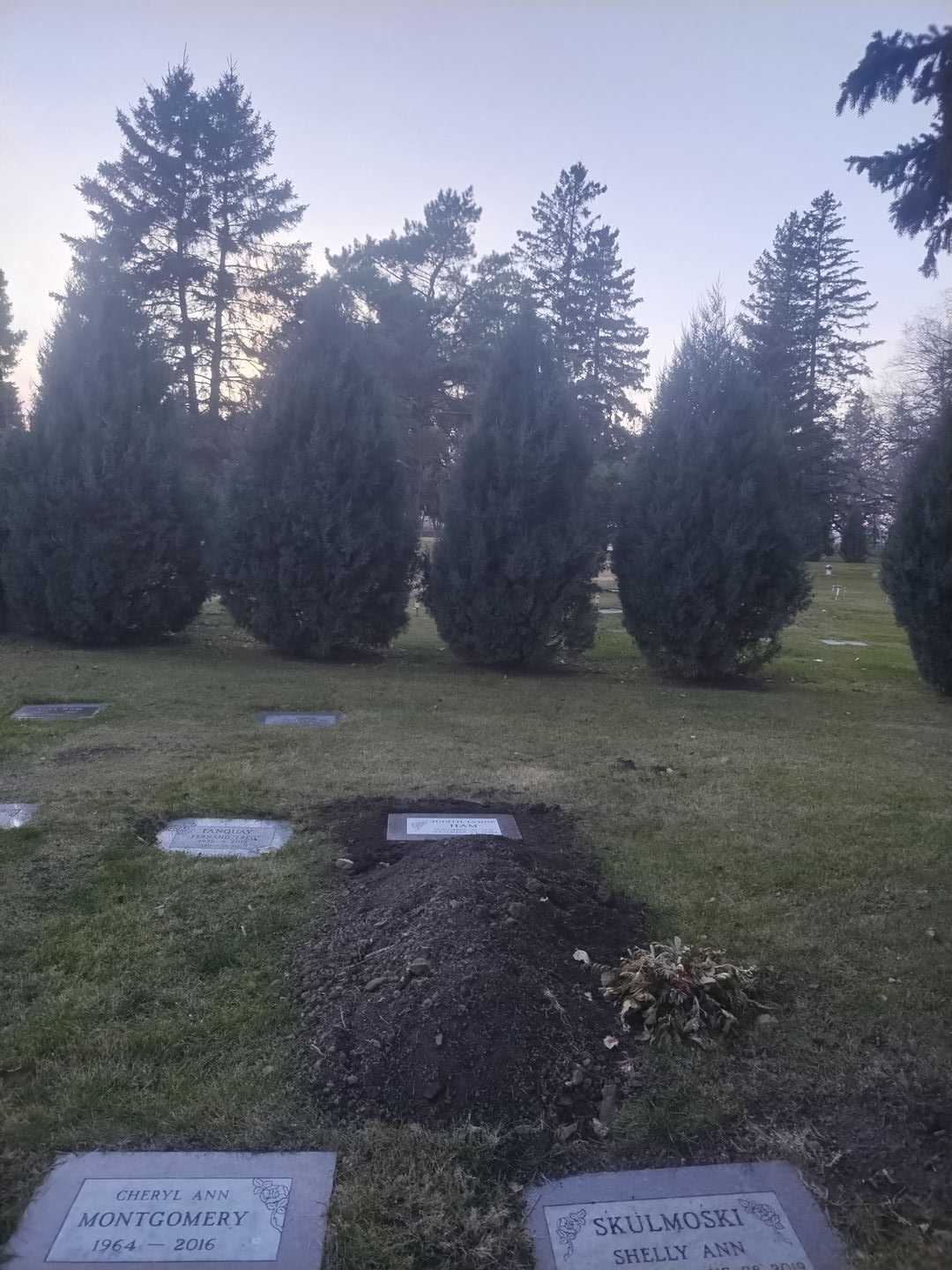 Judith Lynne Ham's grave. Photo 2