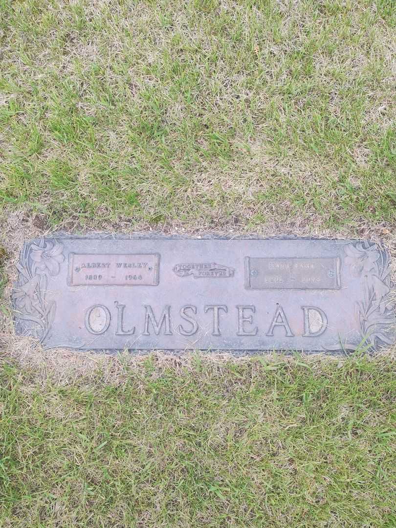 Albert Wesley Olmstead's grave. Photo 1