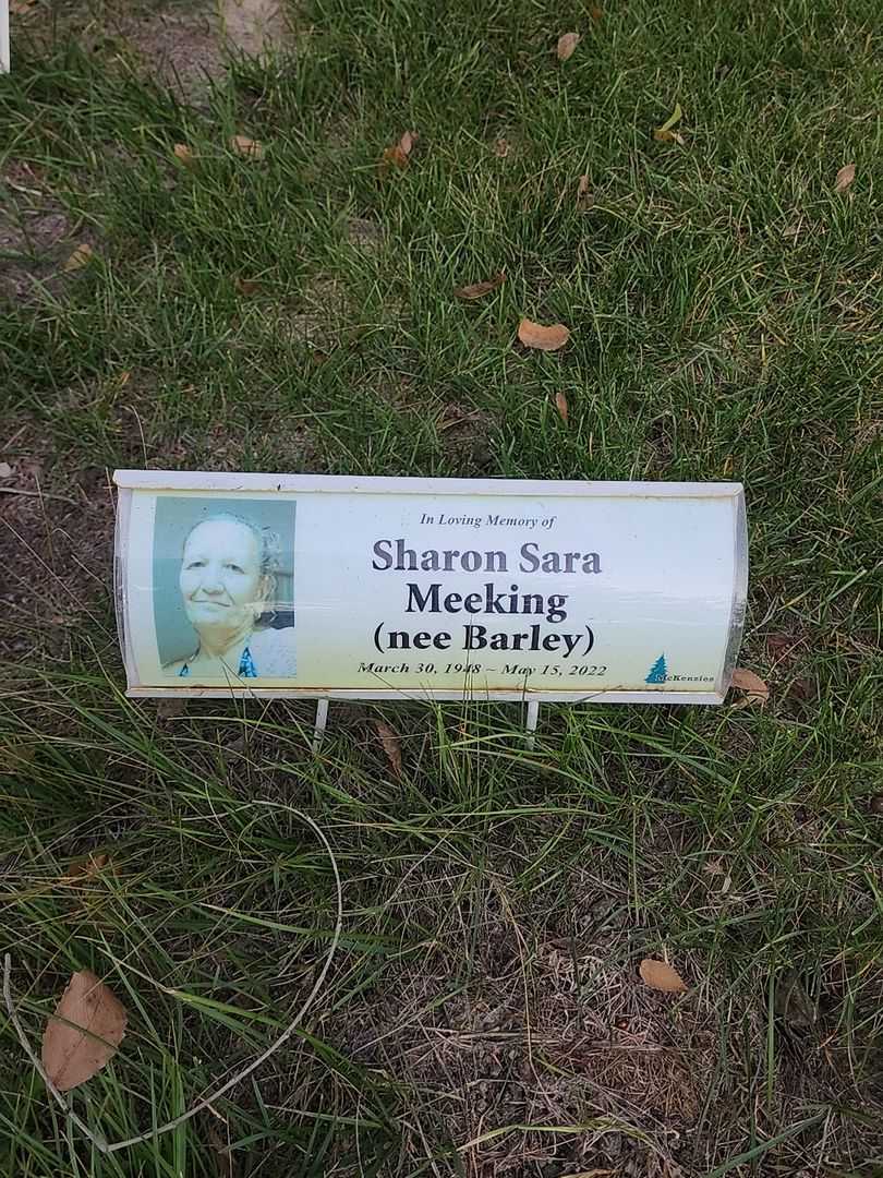 Sharon Sara Barley Meeking's grave. Photo 4