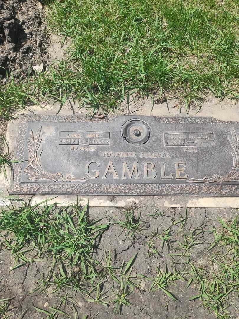 James Henry Gamble's grave. Photo 1