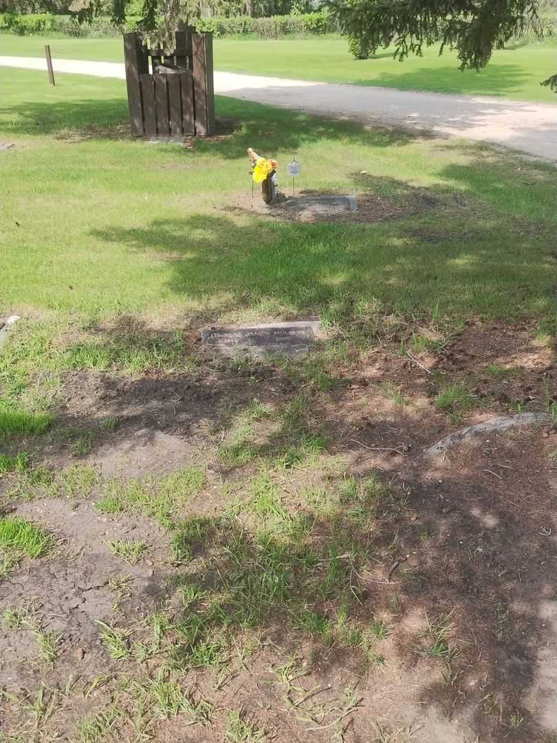 Thomas James Nelson's grave. Photo 2