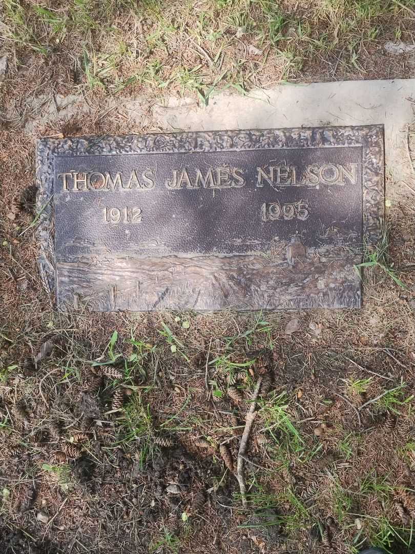 Thomas James Nelson's grave. Photo 1