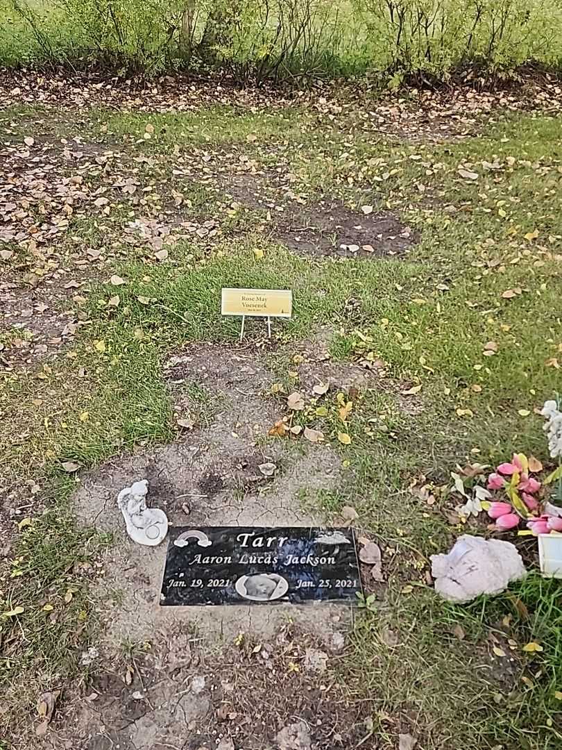 Rose May Voesenek's grave. Photo 2