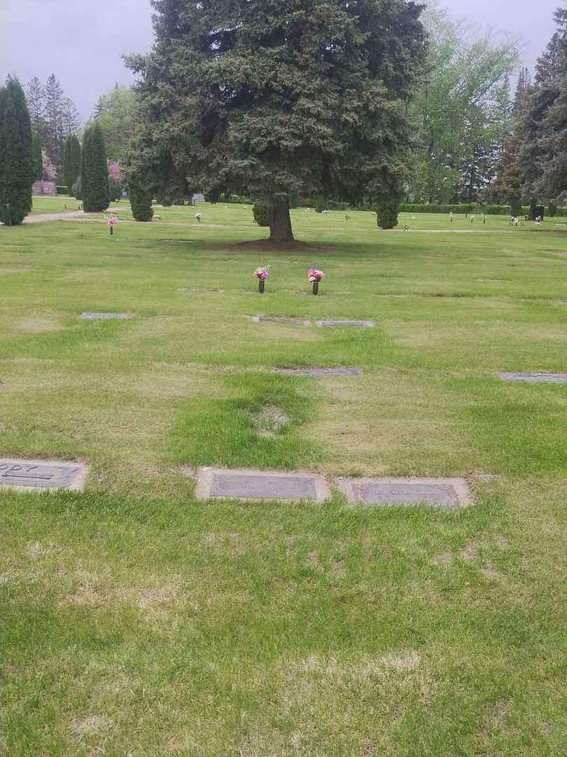 William H. Rawlings's grave. Photo 2