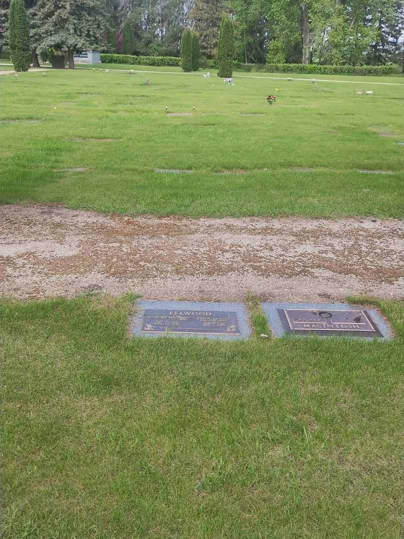 Glenmore Benjamin Ellwood's grave. Photo 2