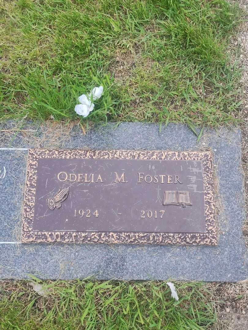 Darcy P. Haines Foster's grave. Photo 1