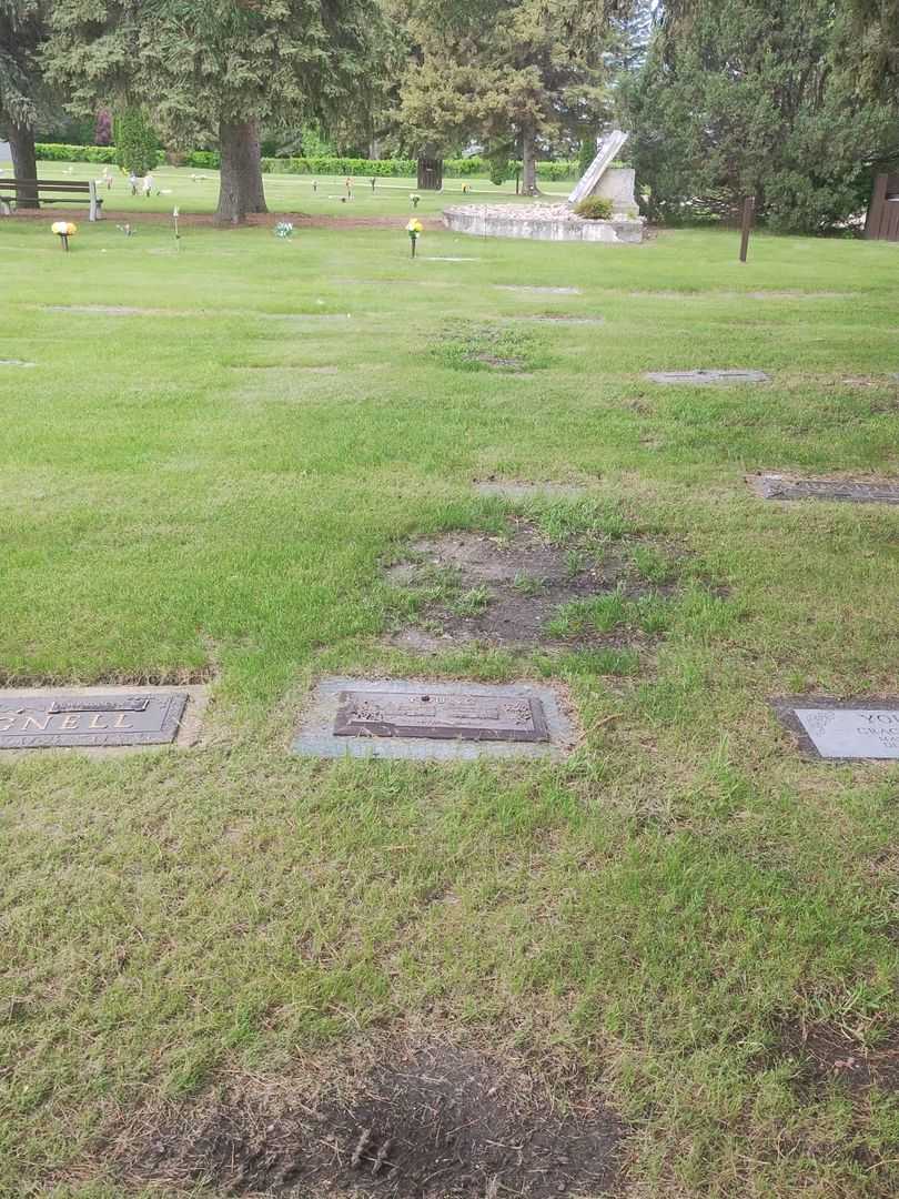 Andrew Haig Young's grave. Photo 2