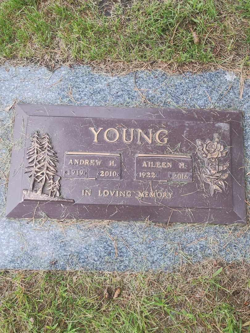 Andrew Haig Young's grave. Photo 1