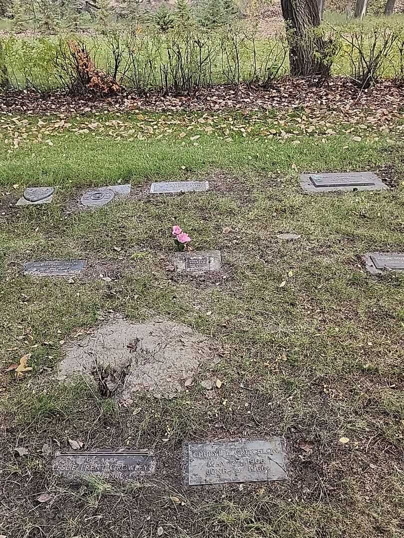 James Evan Volstad's grave. Photo 2