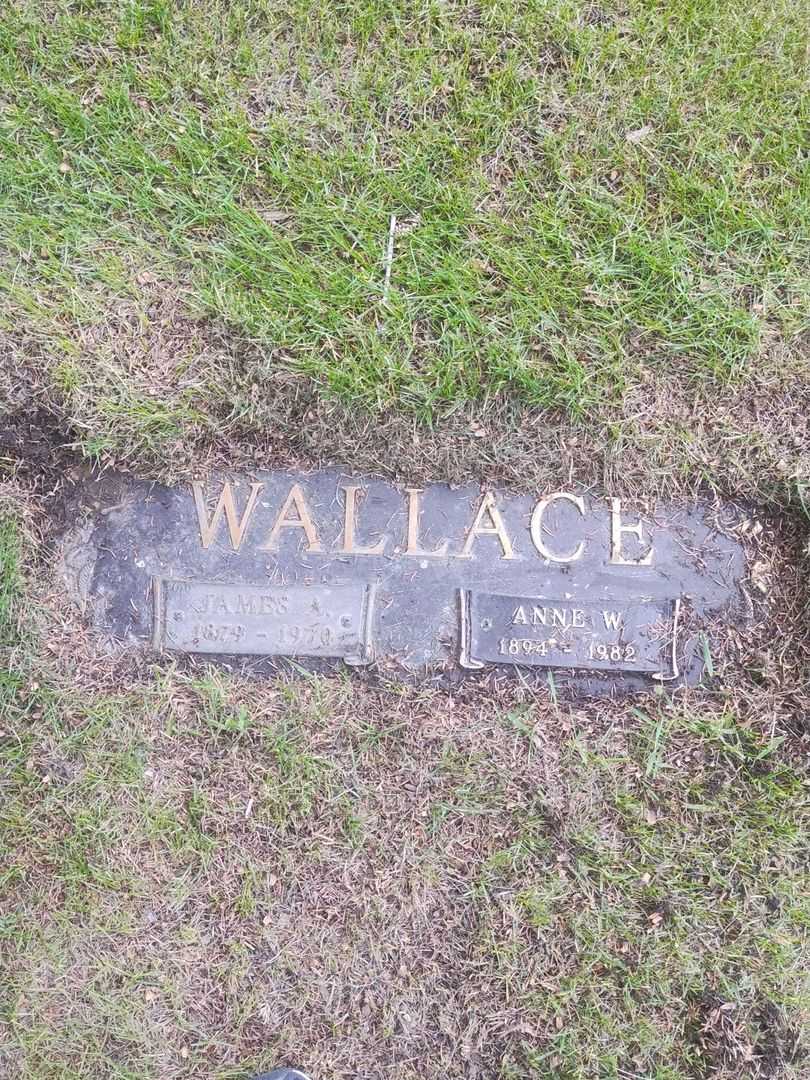 Anne W. Wallace's grave. Photo 1