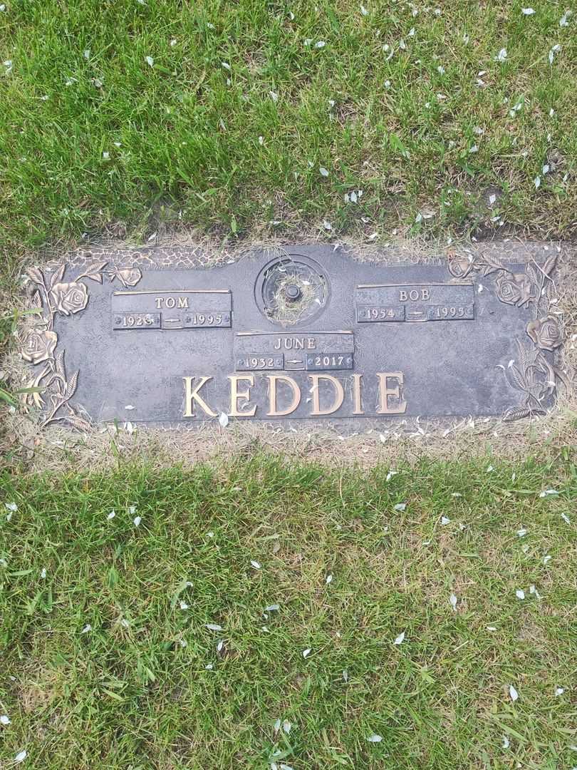 Thomas "Tom" Keddie's grave. Photo 1