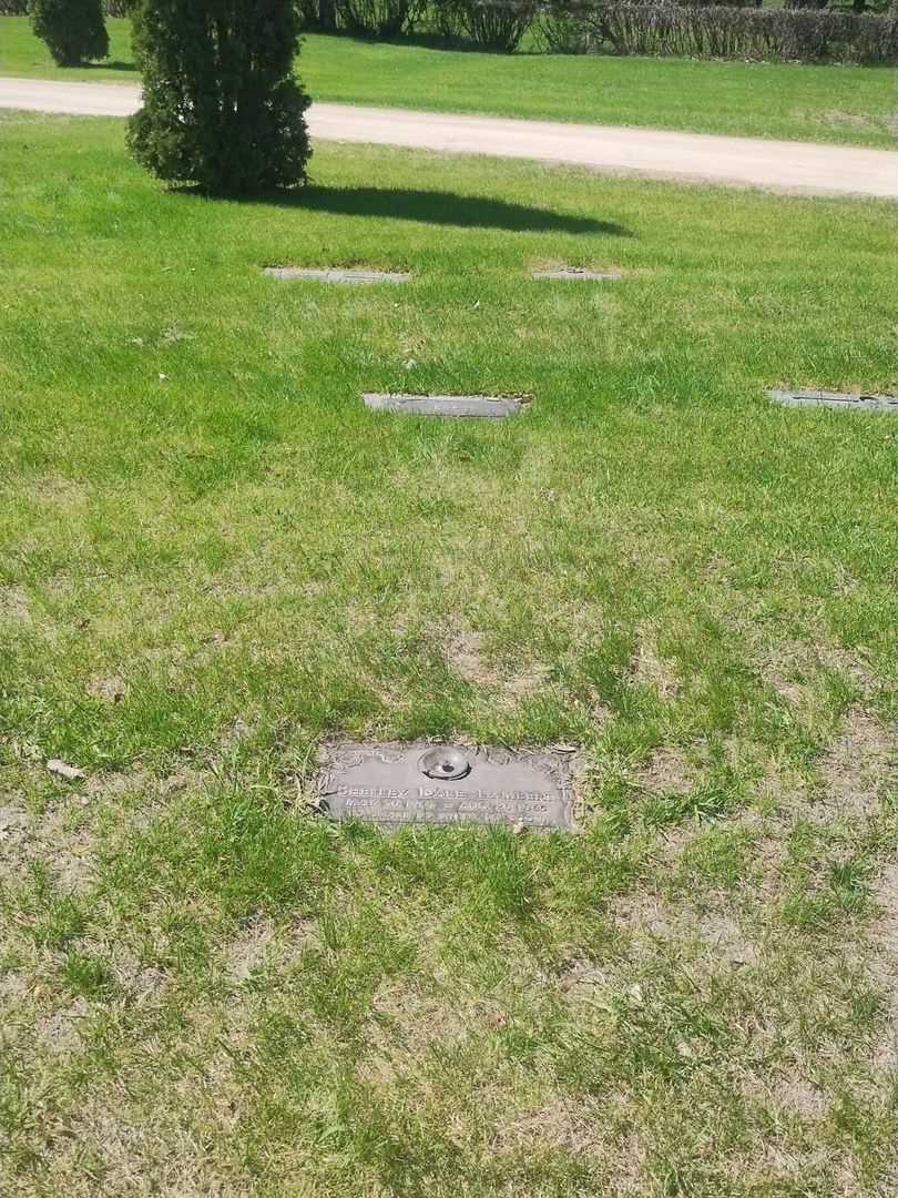 Shelley Dale Lambert's grave. Photo 2