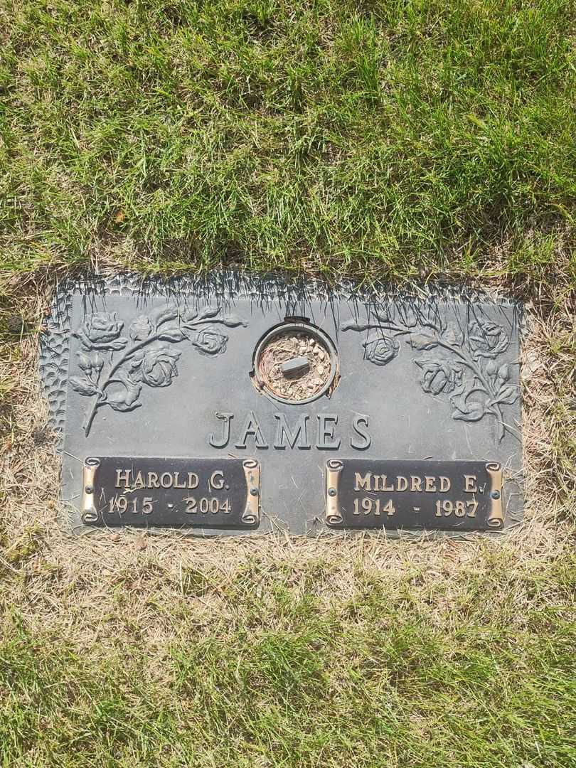 Mildred E. James's grave. Photo 1